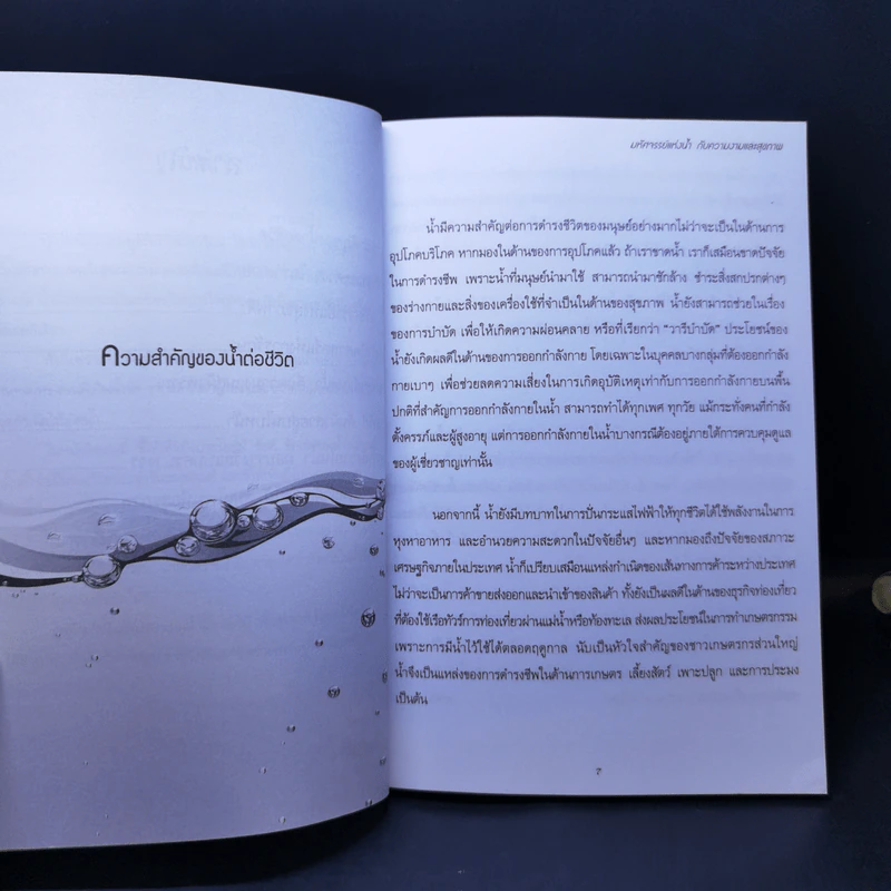 มหัศจรรย์แห่งน้ำ กับความงามและสุขภาพ - พัฒน์แก้ว รูปที่ 10