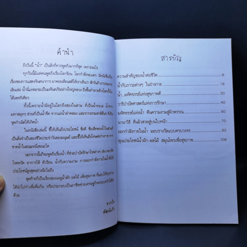 มหัศจรรย์แห่งน้ำ กับความงามและสุขภาพ - พัฒน์แก้ว รูปที่ 9