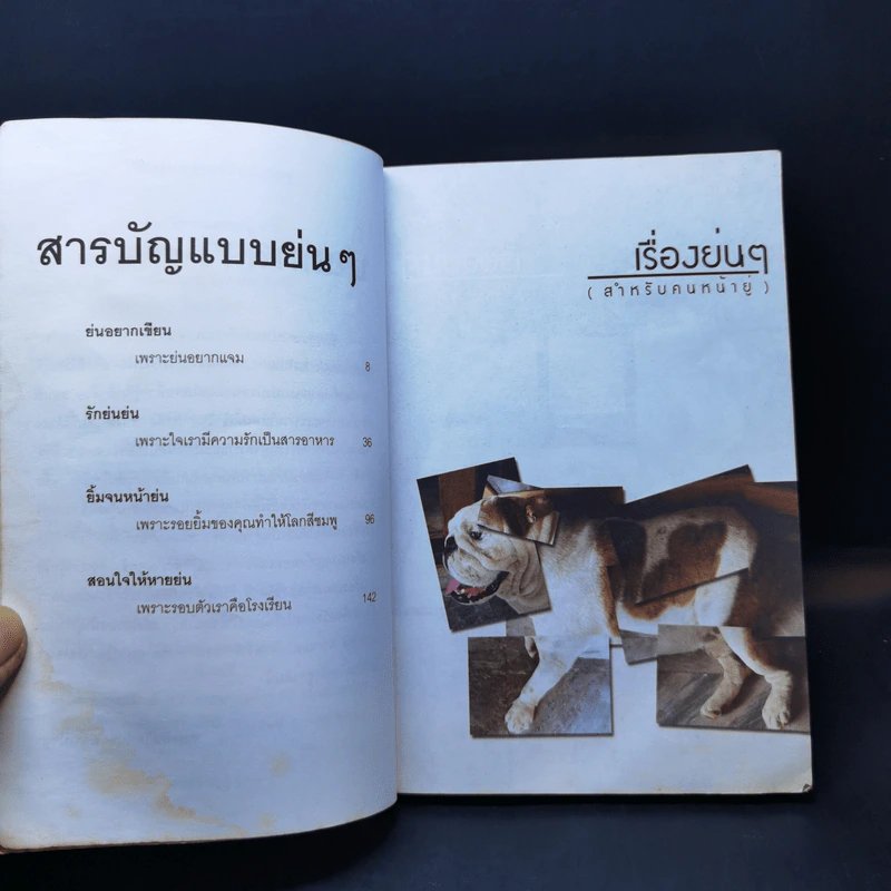 เรื่องย่นๆ (สำหรับคนหน้ายู่) - ทีมงานหมาหน้าย่น รูปที่ 9