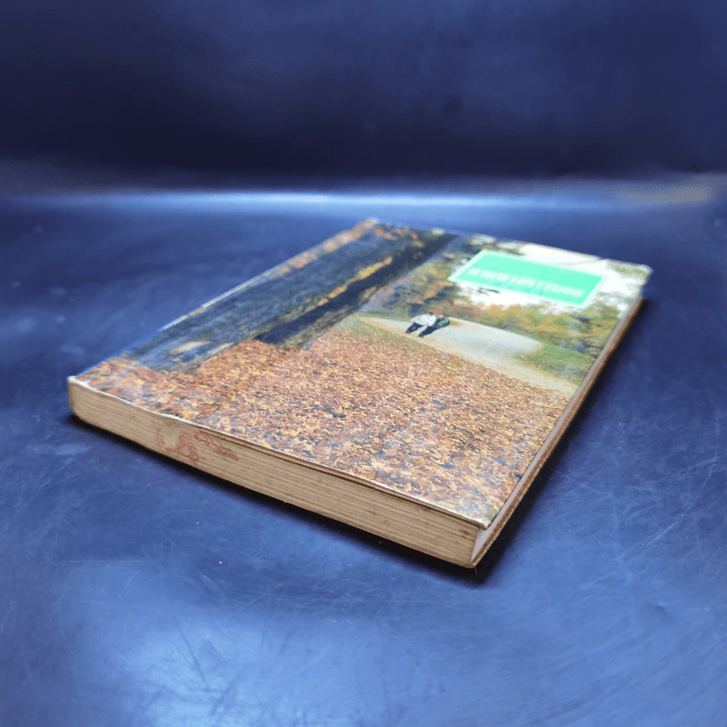 ตามทางคาวบอย - พิมพ์สี รูปที่ 7