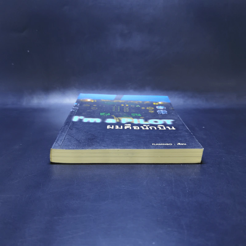 I'm a Pilot ผมคือนักบิน - Flamingo รูปที่ 4