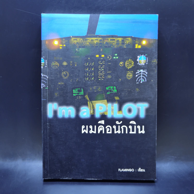 I'm a Pilot ผมคือนักบิน - Flamingo รูปที่ 1