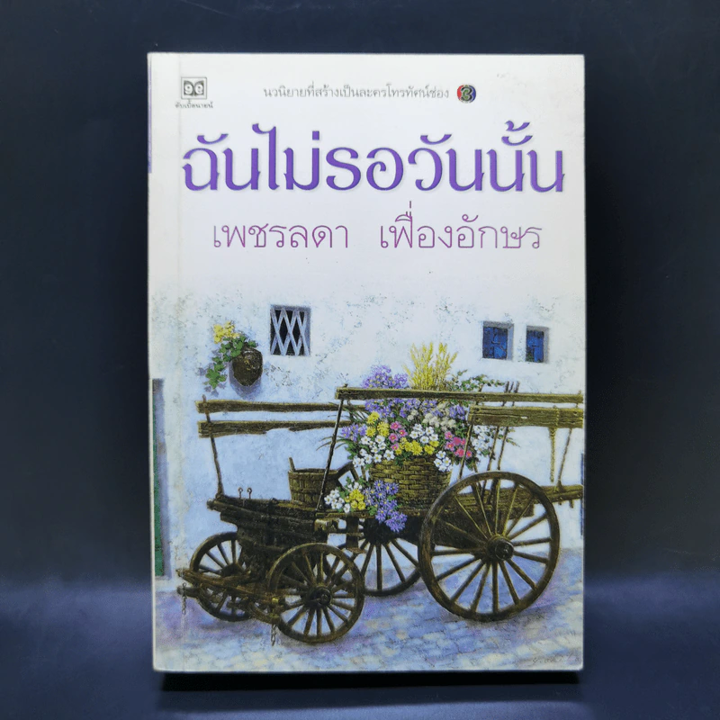 ฉันไม่รอวันนั้น - เพชรลดา เฟื่องอักษร รูปที่ 1