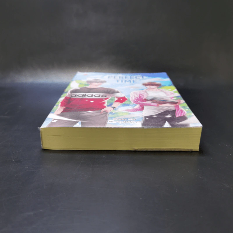 นิยายวาย Perfect Time หนังสือเล่มที่อ่านจบไปแล้ว - Afterday รูปที่ 4