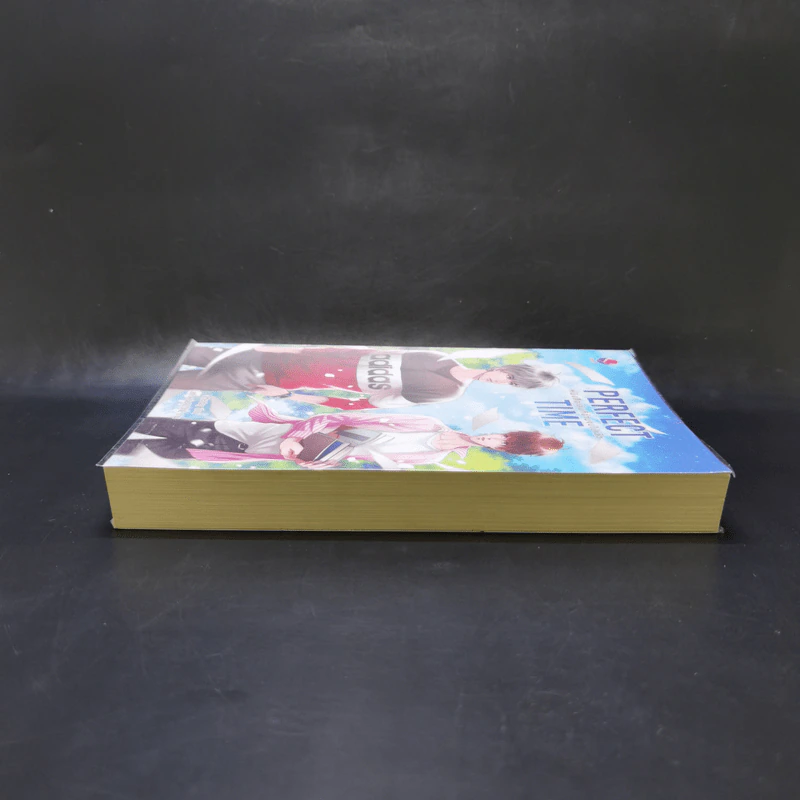 นิยายวาย Perfect Time หนังสือเล่มที่อ่านจบไปแล้ว - Afterday รูปที่ 5