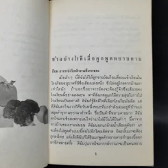 ความรักสุดขอบฟ้า - เกียรติวรรณ อมาตยกุล รูปที่ 11