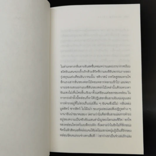 ดวงตาที่สาม - แดนอรัญ แสงทอง รูปที่ 9