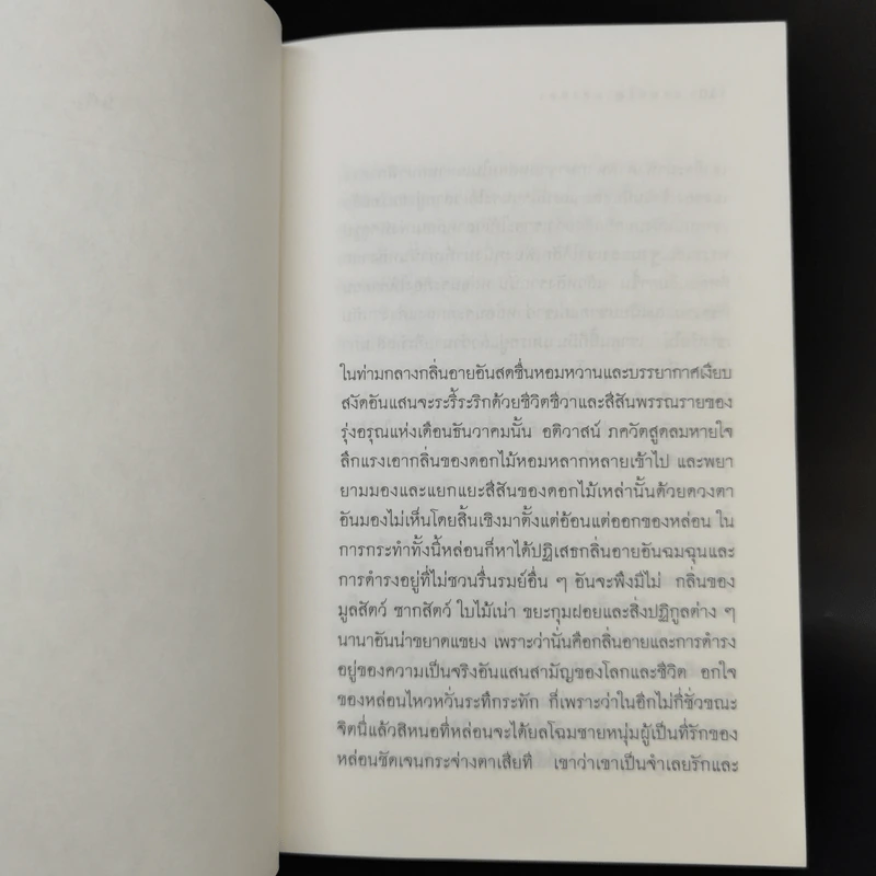ดวงตาที่สาม - แดนอรัญ แสงทอง รูปที่ 9