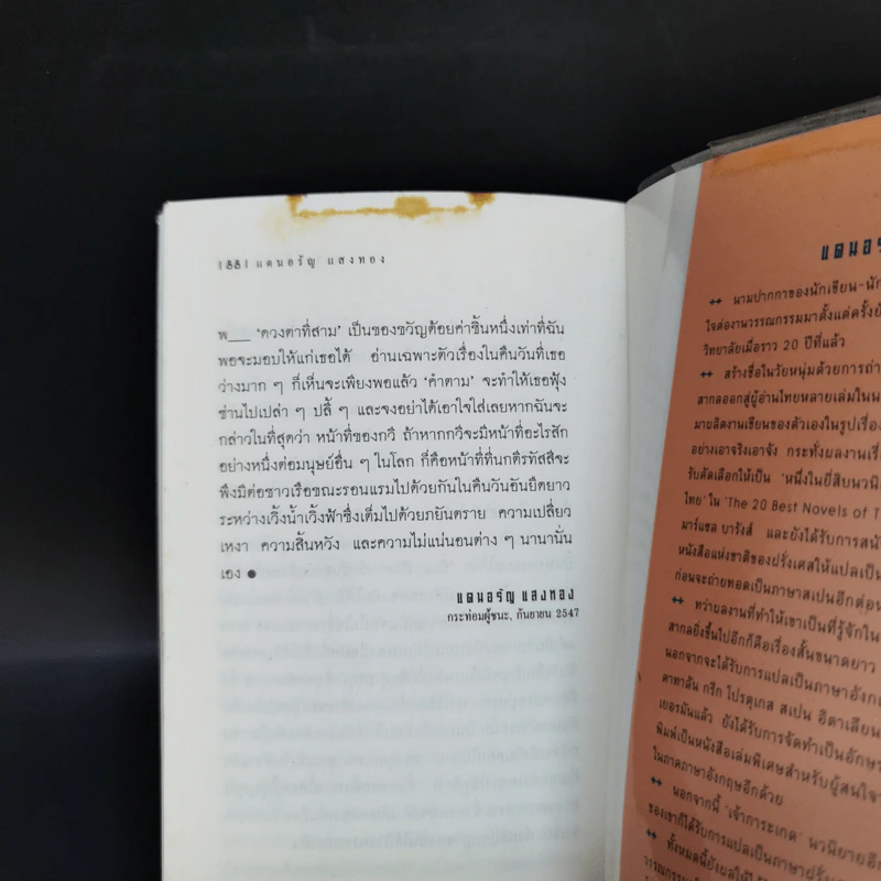 ดวงตาที่สาม - แดนอรัญ แสงทอง รูปที่ 10