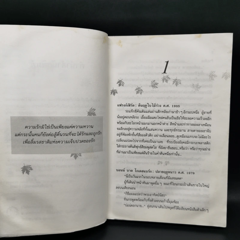 เมเปิลแดง - ประภัสสร เสวิกุล รูปที่ 9