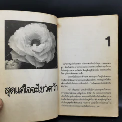สุดแต่ใจจะไขว่คว้า - โบตั๋น รูปที่ 10