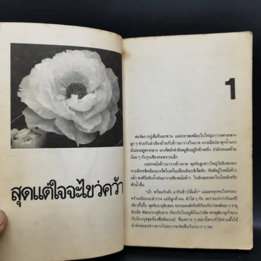 สุดแต่ใจจะไขว่คว้า - โบตั๋น รูปที่ 10