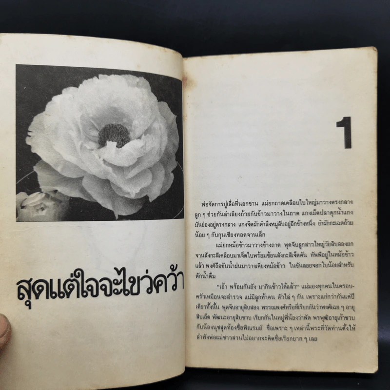 สุดแต่ใจจะไขว่คว้า - โบตั๋น รูปที่ 10
