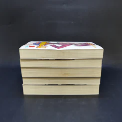 โทระโดระ! ยายเสือใสกับนายหน้าโหด เล่ม 1-5 รูปที่ 4