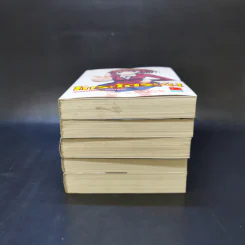 โทระโดระ! ยายเสือใสกับนายหน้าโหด เล่ม 1-5 รูปที่ 3