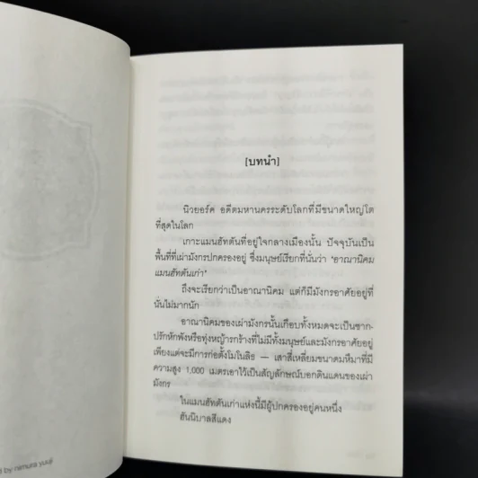 แม่มดมังกรมนตรา ลิเวียธาน 8 เล่มจบ รูปที่ 21