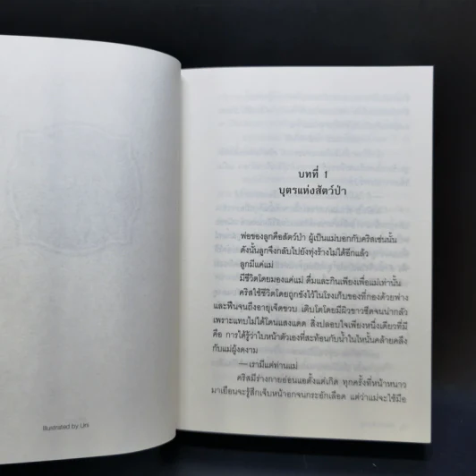 ผ่าลิขิต โค่นบัลลังก์ 8 เล่มจบ รูปที่ 9