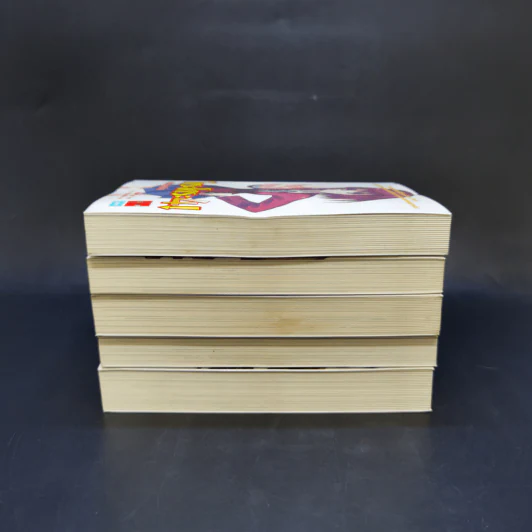 โทระโดระ! ยายเสือใสกับนายหน้าโหด เล่ม 1-5 รูปที่ 4