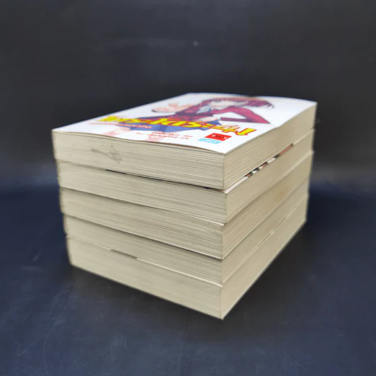 โทระโดระ! ยายเสือใสกับนายหน้าโหด เล่ม 1-5 รูปที่ 6