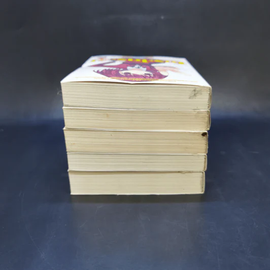โทระโดระ! ยายเสือใสกับนายหน้าโหด เล่ม 1-5 รูปที่ 5