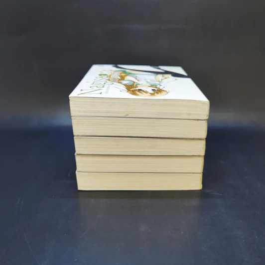 นางิสะ แสบซ่าสยบมาร เล่ม 1-5 รูปที่ 5