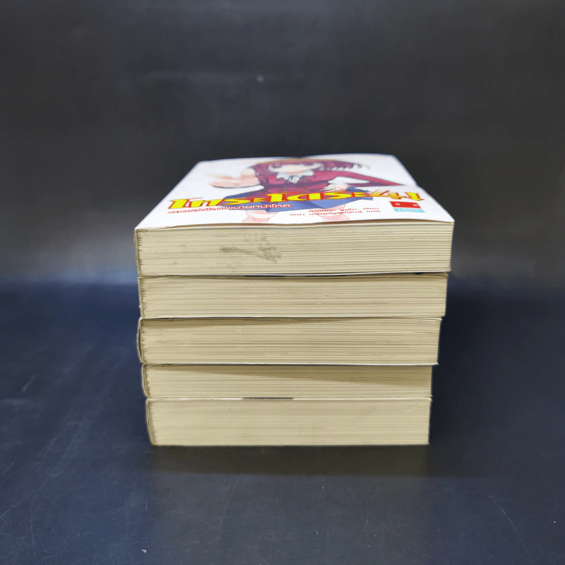 โทระโดระ! ยายเสือใสกับนายหน้าโหด เล่ม 1-5 รูปที่ 3