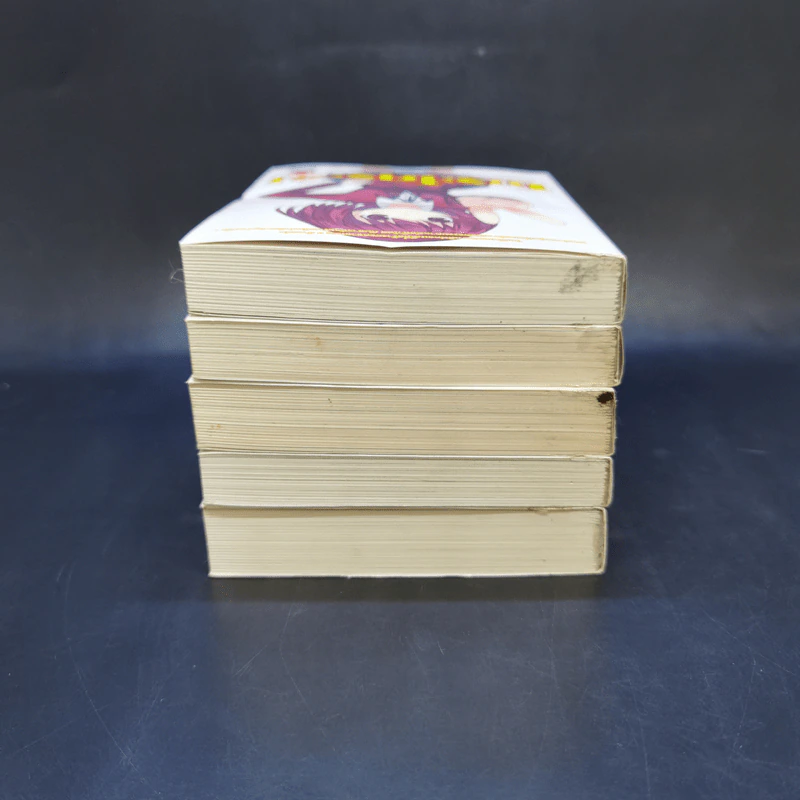 โทระโดระ! ยายเสือใสกับนายหน้าโหด เล่ม 1-5 รูปที่ 5