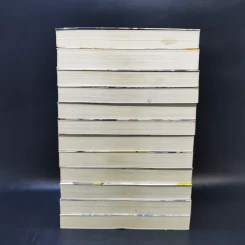 นิยาย วานาดีสกับราชันกระสุนมนตรา เล่ม 1-12 รูปที่ 4