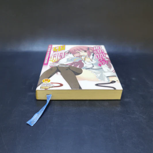 ศึกระบำดาบเจ้าหญิงจอมภูต เล่ม 1 รูปที่ 4