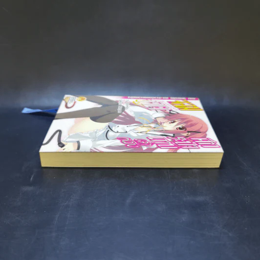 ศึกระบำดาบเจ้าหญิงจอมภูต เล่ม 1 รูปที่ 5