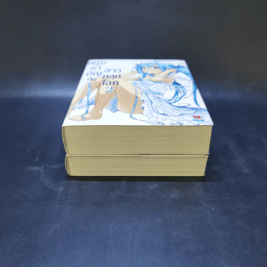 หนุ่มสามัญกับสาวหลุดโลก เล่ม 1-2 รูปที่ 3
