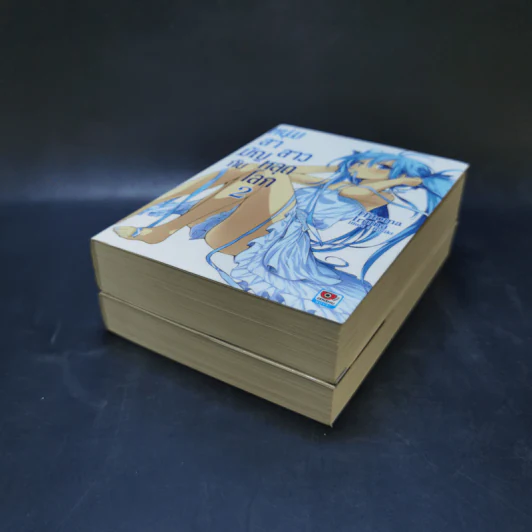 หนุ่มสามัญกับสาวหลุดโลก เล่ม 1-2 รูปที่ 6