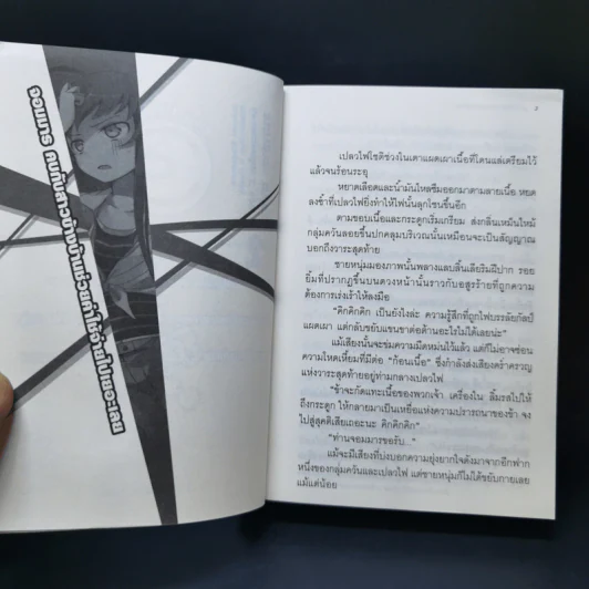 ผู้กล้าซึนซ่าส์กับจอมมารสู้ชีวิต เล่ม 1-10 รูปที่ 12