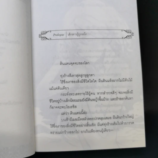 อองกอร์ ล่าบันทึกวีรบุรุษสุดขอบโลก 10 เล่มจบ รูปที่ 9
