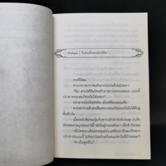 อองกอร์ ล่าบันทึกวีรบุรุษสุดขอบโลก 10 เล่มจบ รูปที่ 21