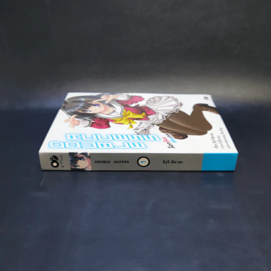 Double Access ล็อกซ้อน ซ่อนกล เล่ม 1 รูปที่ 3