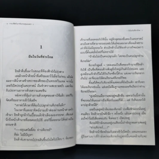 นิยาย วานาดีสกับราชันกระสุนมนตรา เล่ม 1-12 รูปที่ 13