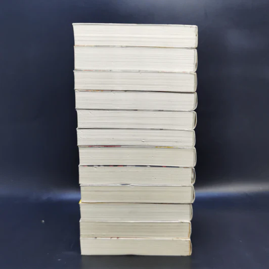 นิยาย วานาดีสกับราชันกระสุนมนตรา เล่ม 1-12 รูปที่ 5