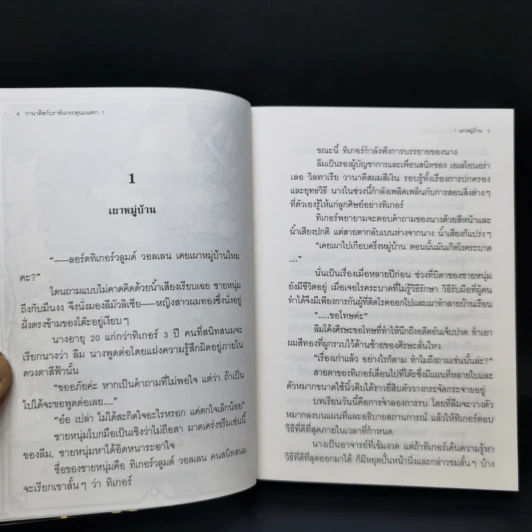 นิยาย วานาดีสกับราชันกระสุนมนตรา เล่ม 1-12 รูปที่ 27