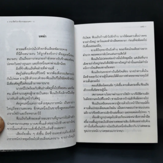 นิยาย วานาดีสกับราชันกระสุนมนตรา เล่ม 1-12 รูปที่ 42
