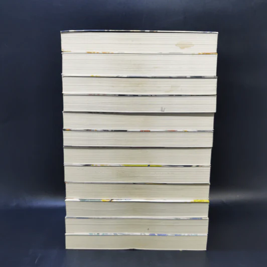 นิยาย วานาดีสกับราชันกระสุนมนตรา เล่ม 1-12 รูปที่ 4