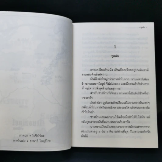 นิยาย วานาดีสกับราชันกระสุนมนตรา เล่ม 1-12 รูปที่ 24