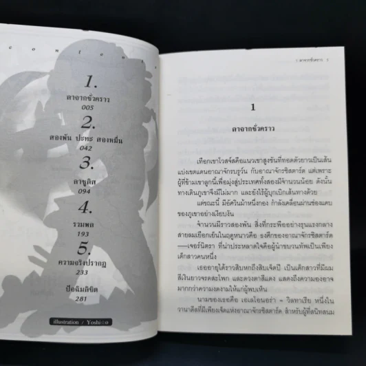 นิยาย วานาดีสกับราชันกระสุนมนตรา เล่ม 1-12 รูปที่ 18