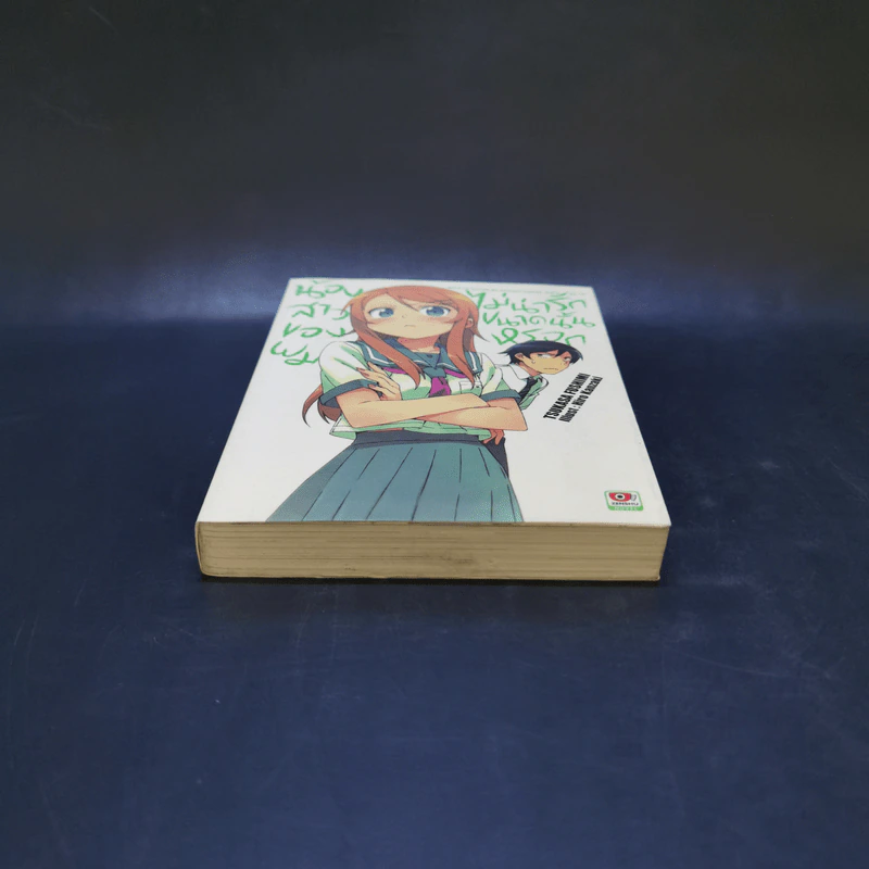 น้องสาวของผมไม่น่ารักขนาดนั้นหรอก เล่ม 1 รูปที่ 4