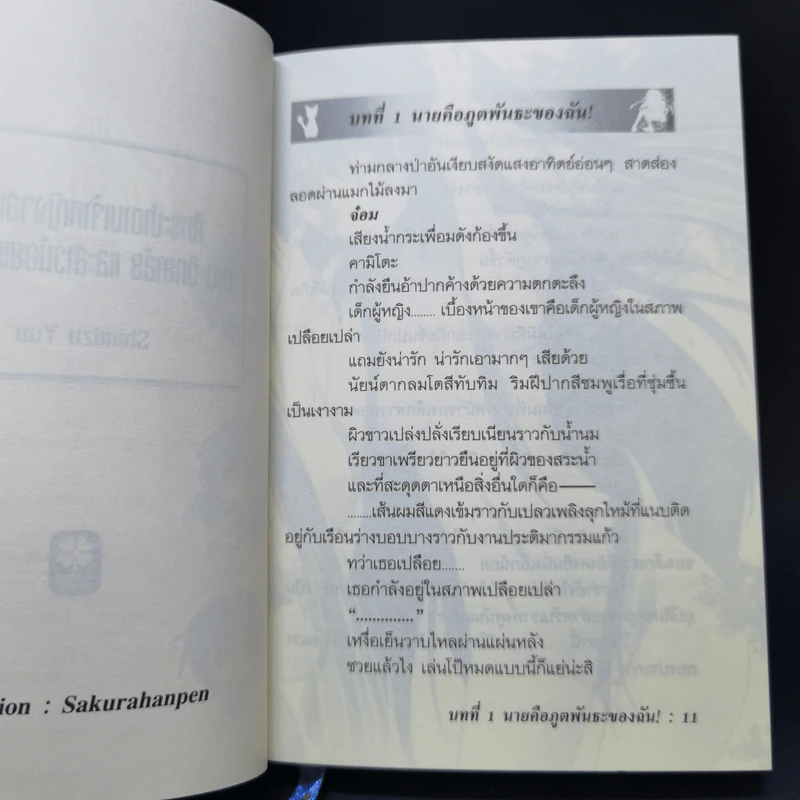 ศึกระบำดาบเจ้าหญิงจอมภูต เล่ม 1 รูปที่ 9