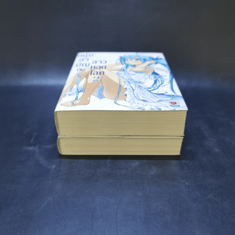 หนุ่มสามัญกับสาวหลุดโลก เล่ม 1-2 รูปที่ 3