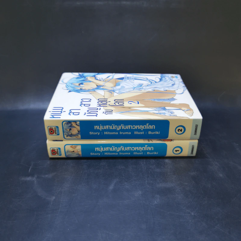 หนุ่มสามัญกับสาวหลุดโลก เล่ม 1-2 รูปที่ 2