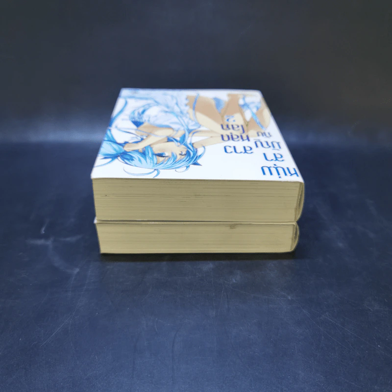 หนุ่มสามัญกับสาวหลุดโลก เล่ม 1-2 รูปที่ 5