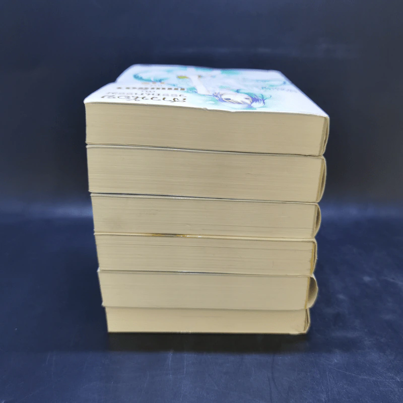 สาวน้อยวรรณกรรมกับเทพธิดาแห่งวารี เล่ม 1-6 รูปที่ 5