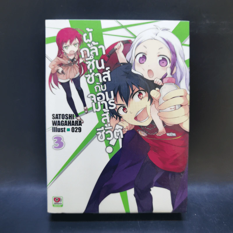 ผู้กล้าซึนซ่าส์กับจอมมารสู้ชีวิต เล่ม 1-10 รูปที่ 13